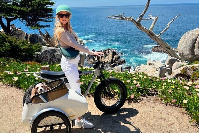 Monterey Bay Famous Dog Friendly Electric Bike and Sidecar Tour - A Detailed Look at the Monterey Bay Dog-Friendly E-Bike & Sidecar Tour