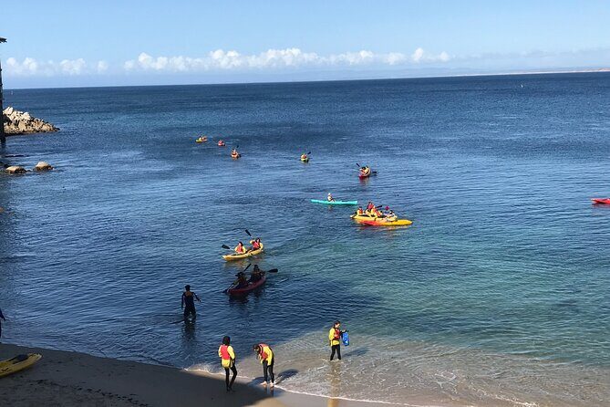 Monterey Bay Full-Day Kayak Rental: Otters, Seals and Sea Lions - A Closer Look at the Monterey Bay Kayak Experience