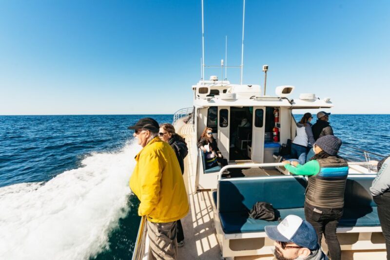Monterey Bay: Whale Watching Tour - Frequently Asked Questions