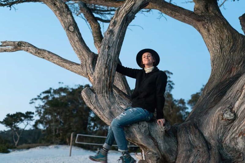 Monterey, Carmel, 17 Mile Dr, Big Sur & Mcway Falls Pvt Tour - A Deep Dive into the Experience