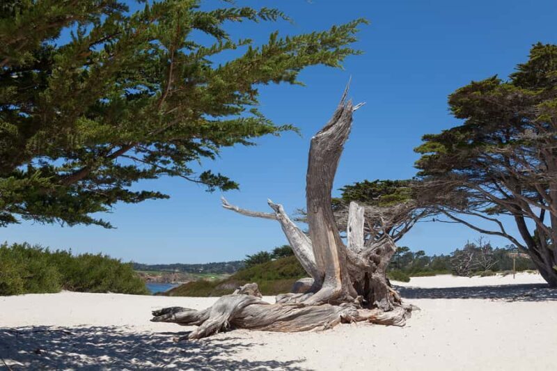 Monterey, Carmel, 17 Mile Dr, Big Sur & Mcway Falls Pvt Tour - The Sum Up