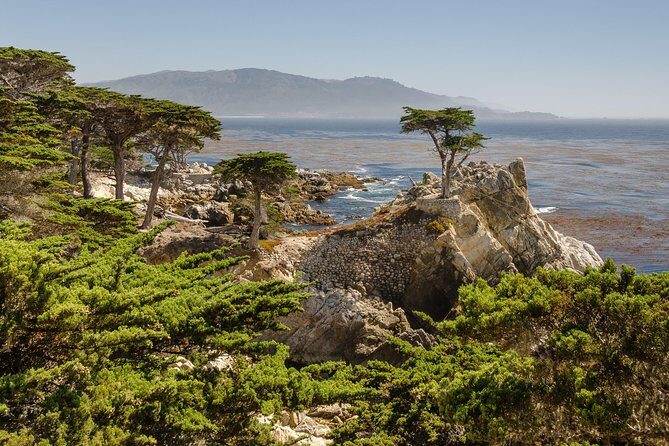 Monterey, Carmel and 17-Mile Drive: Full Day Tour from SF - The Sum Up