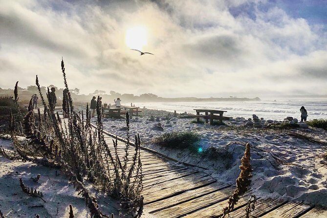 Monterey, Carmel and Pacific Coast Explorer from San Francisco - Price and Overall Value