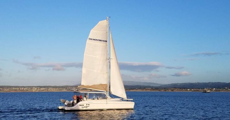 Monterey: Catamaran Sailing Cruise - A Closer Look at the Monterey Catamaran Sailing Cruise