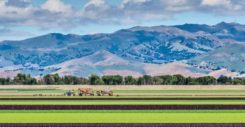 Monterey County Salinas Valley Farm Tour - Who Will Love This Tour?