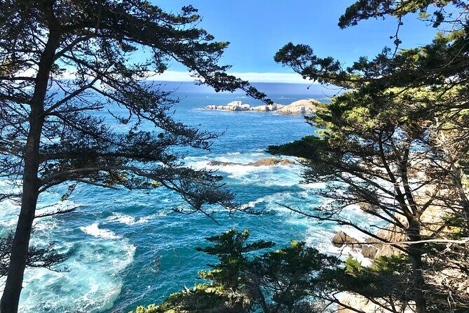 Monterey Peninsula and Carmel by the Sea Small Group Tour - Final Thoughts: Why Choose This Tour?