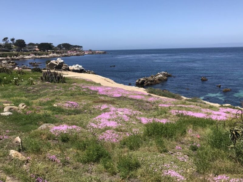 Monterey Peninsula Sightseeing Tour including 17 Mile Drive - A Detailed Look at the Monterey Peninsula Sightseeing Tour