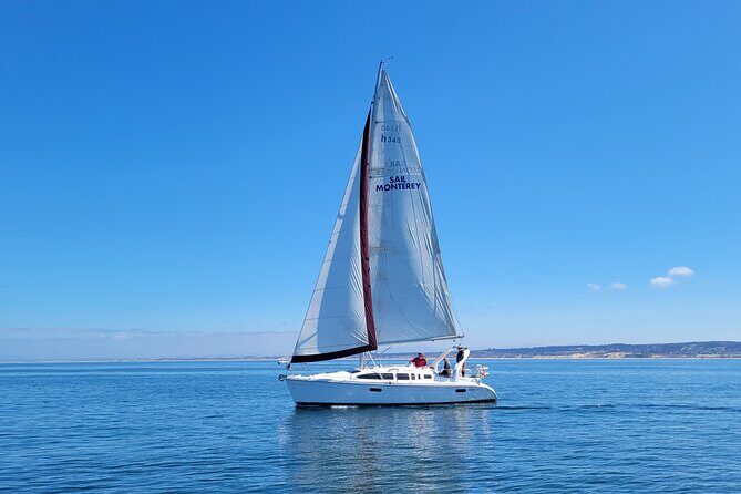 Monterey Private 3 - 4 Hour Whale Watching Cruise - A Private Whale Watching Experience in Monterey