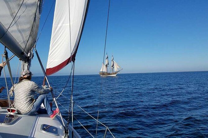 Monterey Private 3 - 4 Hour Whale Watching Cruise - Final Thoughts