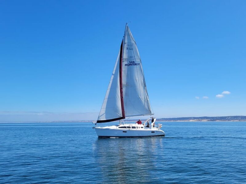 Monterey: Private Whale Watching/Sailing Tour for 6 - The Experience at a Glance