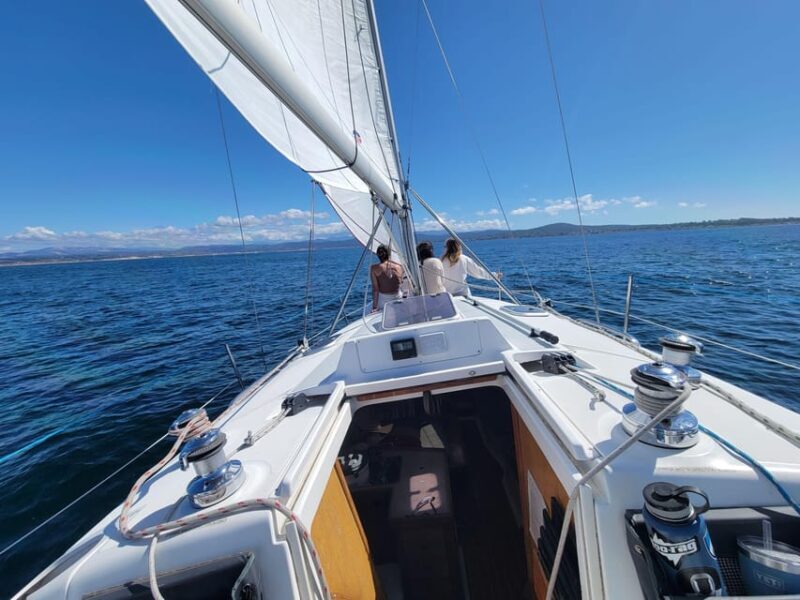 Monterey: Private Whale Watching/Sailing Tour for 6 - The Value of a Private Tour