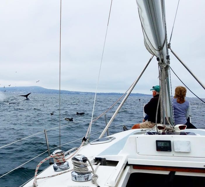 Monterey: Private Whale Watching/Sailing Tour for 6 - Who Should Consider This Tour?