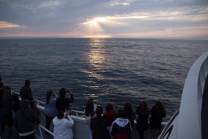 Monterey Whale Watching Tour - Why This Tour Stands Out