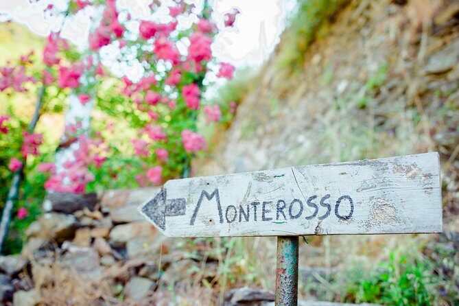 Monterosso and Portofino Shore Excursion from La Spezia - Who Should Consider This Tour?