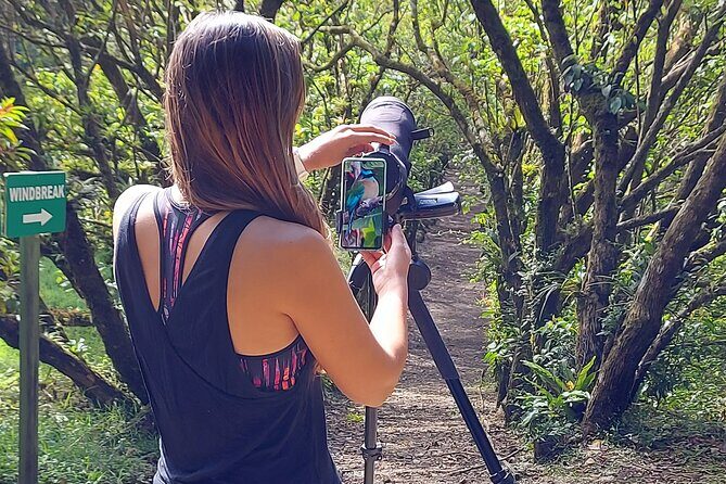 Monteverde Birdwatching Experience - Exploring the Monteverde Birdwatching Experience: A Deep Dive into Costa Rica’s Avian Paradise