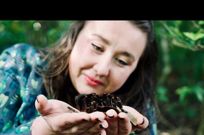 Monteverde Butterfly Gardens Tour - Final Thoughts: Is It Worth It?