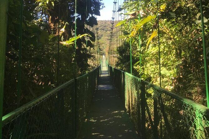 Monteverde Cloud Forest and Coffee Tour Shore Excursion - A Detailed Look at the Monteverde Cloud Forest and Coffee Tour