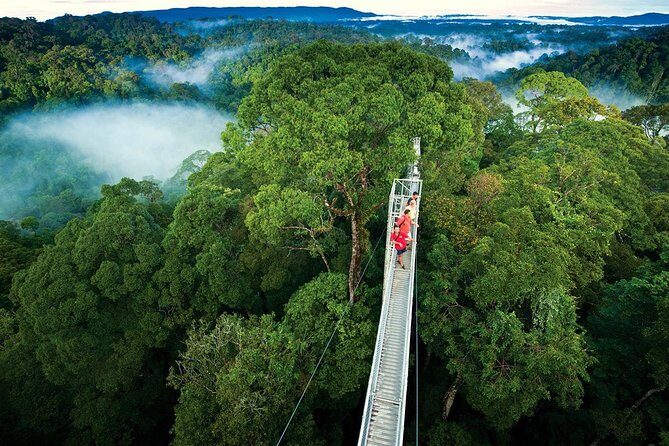 Monteverde Cloud Forest and Hanging Bridges in Selvatura Tour from San Jose - Key Points