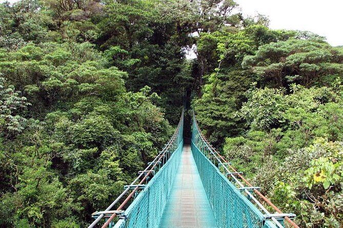 Monteverde Cloud Forest Hanging Bridges - Who Should Consider This Tour?