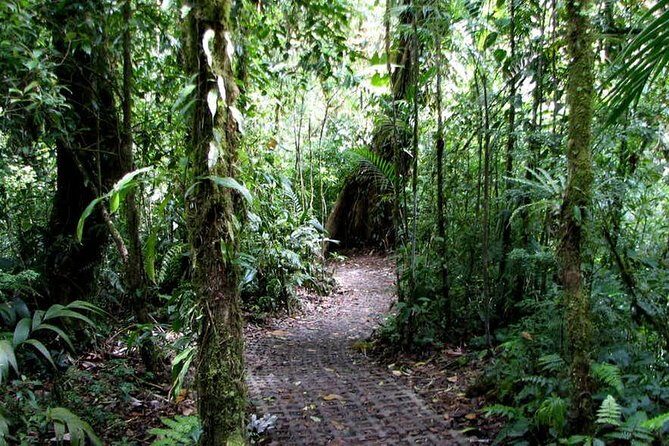 Monteverde Cloud Forest Hanging Bridges - The Bottom Line