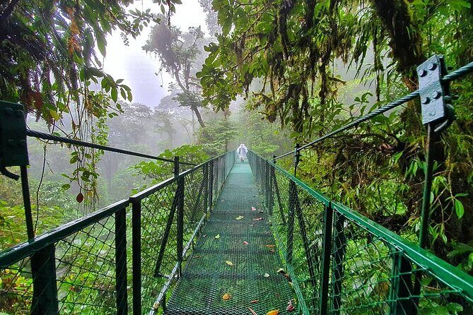 Monteverde Cloud Forest Hanging Bridges Guided Walk - Key Points