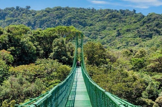 Monteverde Cloud Forest Hanging Bridges Tour from San Jose - FAQ