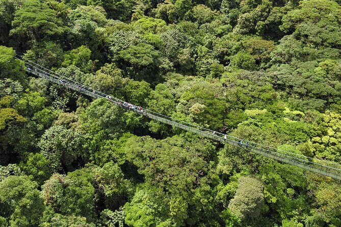 Monteverde Cloud Forest privateTour - Unpacking the Experience: An In-Depth Look at the Tour