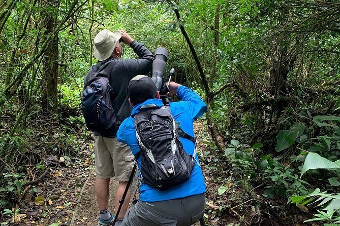 Monteverde Cloud Forest Reserve Morning Walk -Monteverde Wild- - Key Points