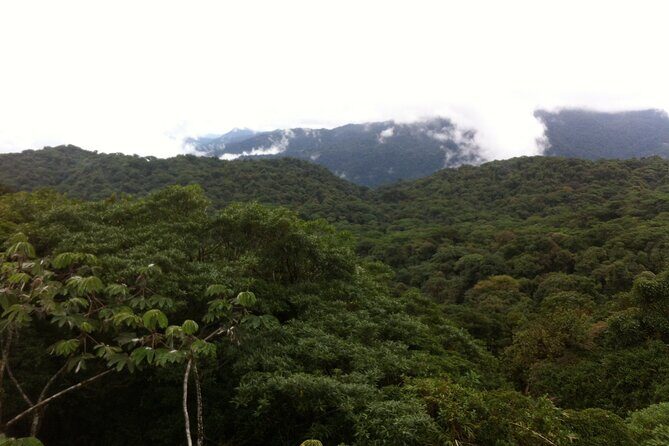 Monteverde Cloud Forest Tour - Final Thoughts