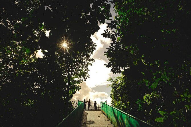 Monteverde Combo: Cable Car, Zipline, Hanging Bridges - Who Is This Tour Best For?