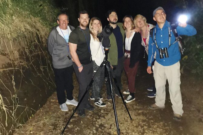 Monteverde Night Tour - Monteverde Night Tour: An Evening Safari in Costa Rica’s Cloud Forest