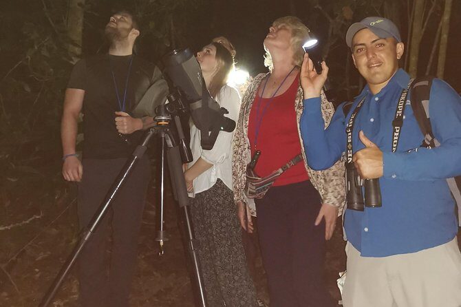 Monteverde Night Tour - Who Should Book This Tour?