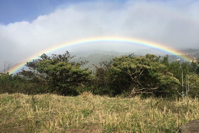 Monteverde Private Guided Afternoon Nature Walk - Introduction: An Intimate Encounter with Monteverde’s Cloud Forest
