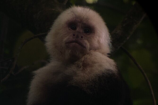 Monteverde semi-private guided tour - Key Points