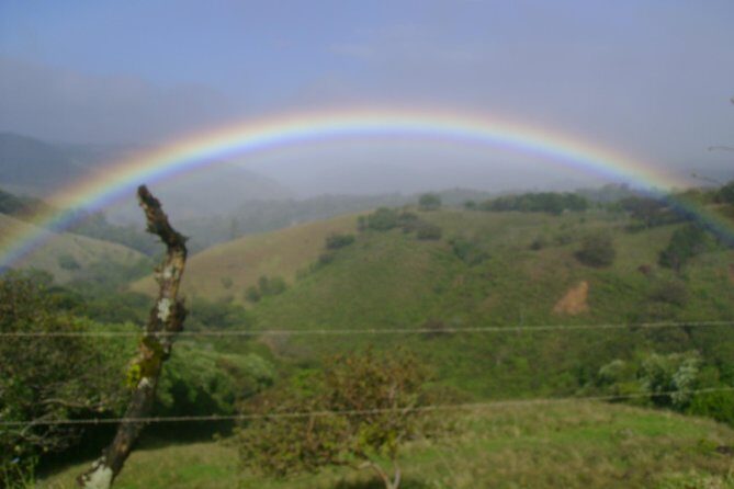 Monteverde Sloth sanctuary, Hanging Bridges, Butterflies garden - Key Points