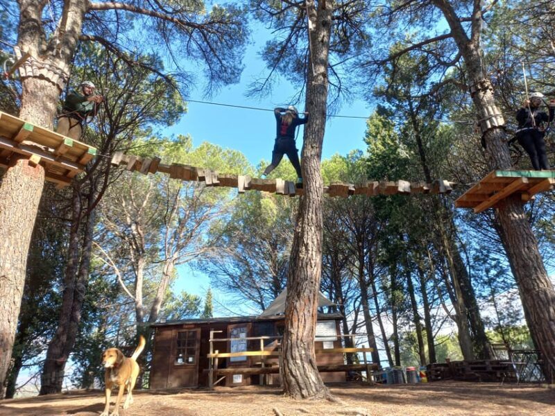 Monti Rossi Adventure Park Entry Ticket - Final Thoughts: Who Should Consider This Experience?