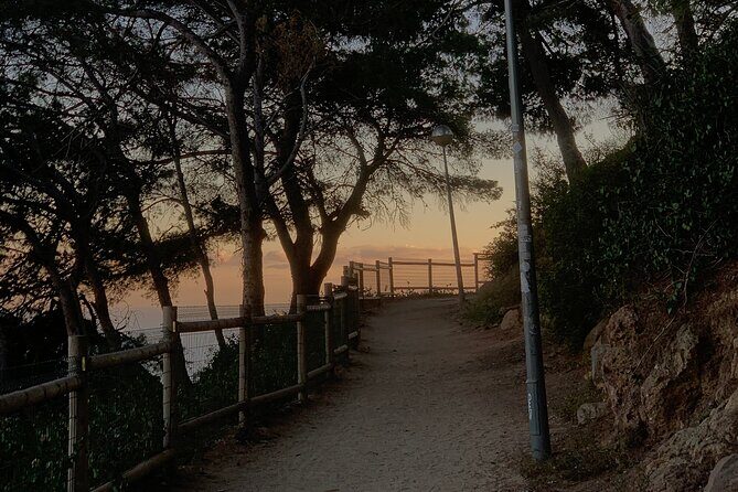 Montjuïc Magic: Hidden Pathways, Vermut Delights & Sunset Bliss - Final Stop: Mirador del Migdia and Sunset