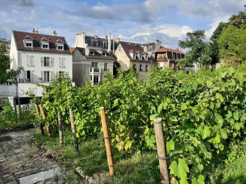 Montmartre Secret Gardens & French Goûter (snack) - What Makes This Tour Stand Out?