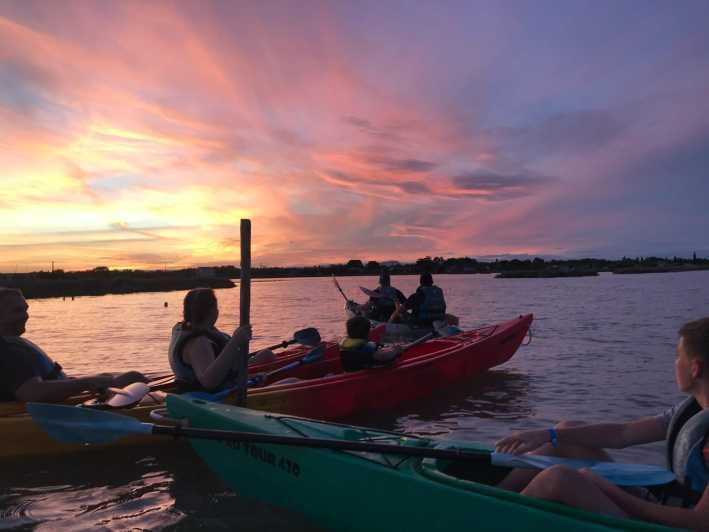 Montpellier : Birdwatching by kayak in Camargue - Key Points