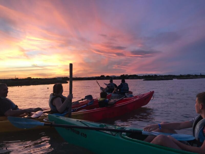 Montpellier : Birdwatching by kayak in Camargue - The Complete Experience of Kayaking in the Camargue