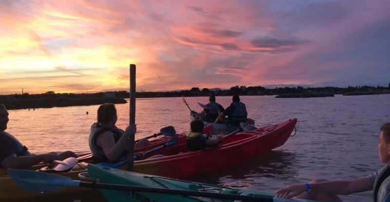 Montpellier : Birdwatching by kayak in Camargue - FAQs