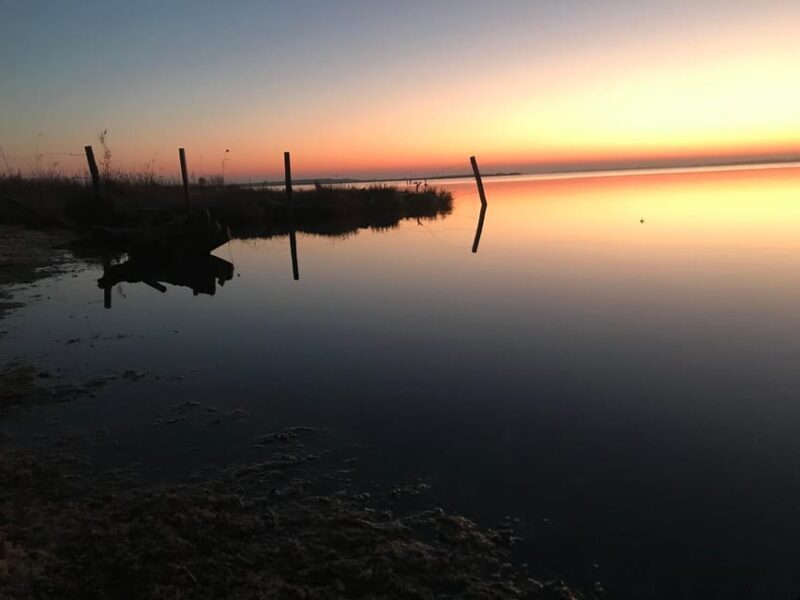 Montpellier : Birdwatching by kayak in Camargue - Final Thoughts
