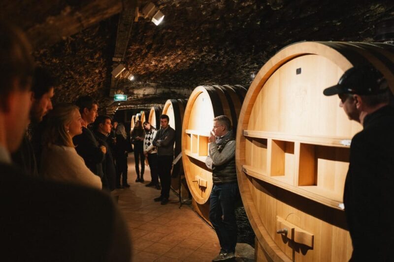 Montpellier: Full day Truffles and Chateauneuf-du-Pape Wines - Who Will Love This Tour?