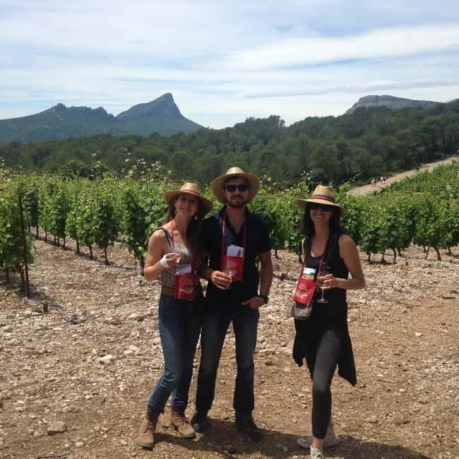 Montpellier: Pic Saint-Loup Wine Tour - Detailed Breakdown of the Experience