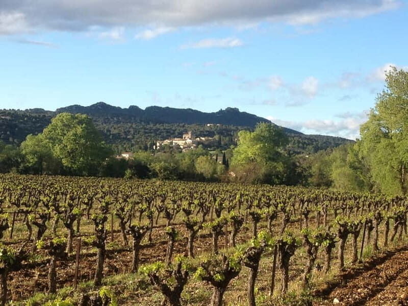 Montpellier: Pic Saint-Loup Wine Tour - Practical Tips for Travelers