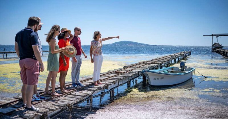 Montpellier Wine and Oyster Tour - Practical Details and Value