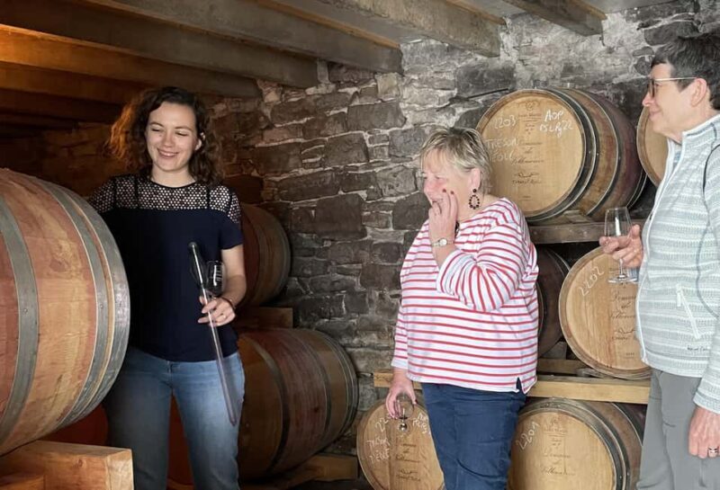 Montpellier : Wine Tour Pic St Loup - What Makes This Tour Stand Out?