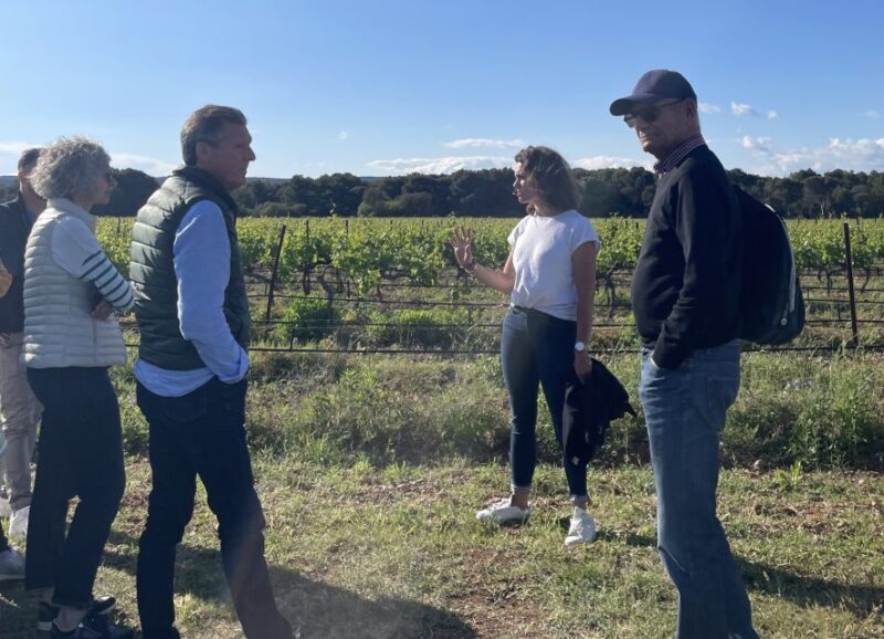 Montpellier:Discover the town of Sète, oysters and vineyards - Exploring Sète and the Bassin de Thau