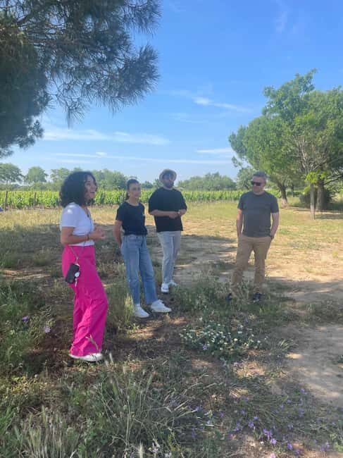 Montpellier:Discover the town of Sète, oysters and vineyards - FAQ