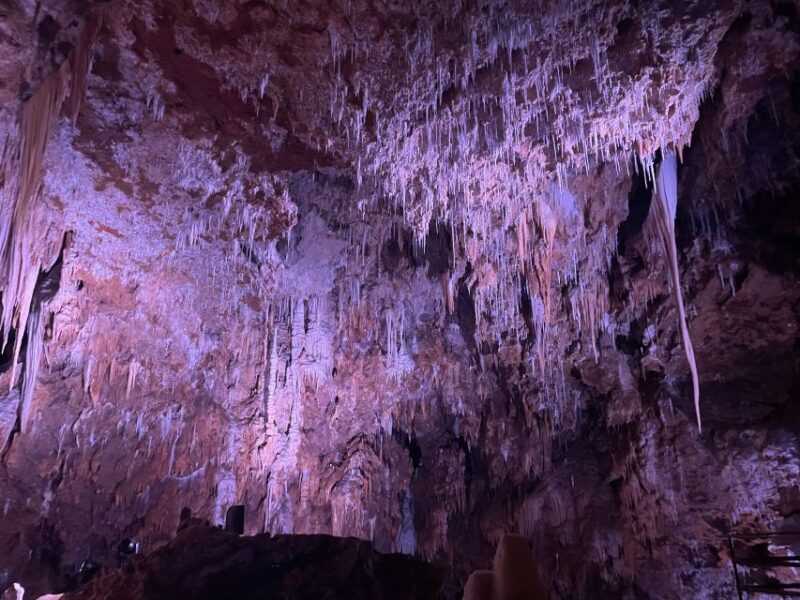 Montpellier:Half-Day Terrasses du Larzac Wine and grotto - Who Is This Tour Best For?